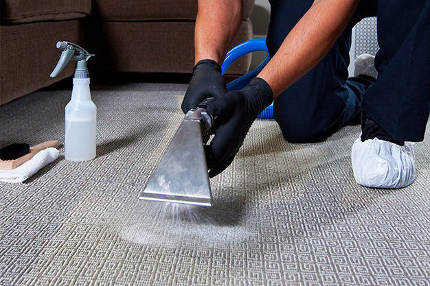 How Can You Keep Your Carpets Clean After Professional Cleaning?...