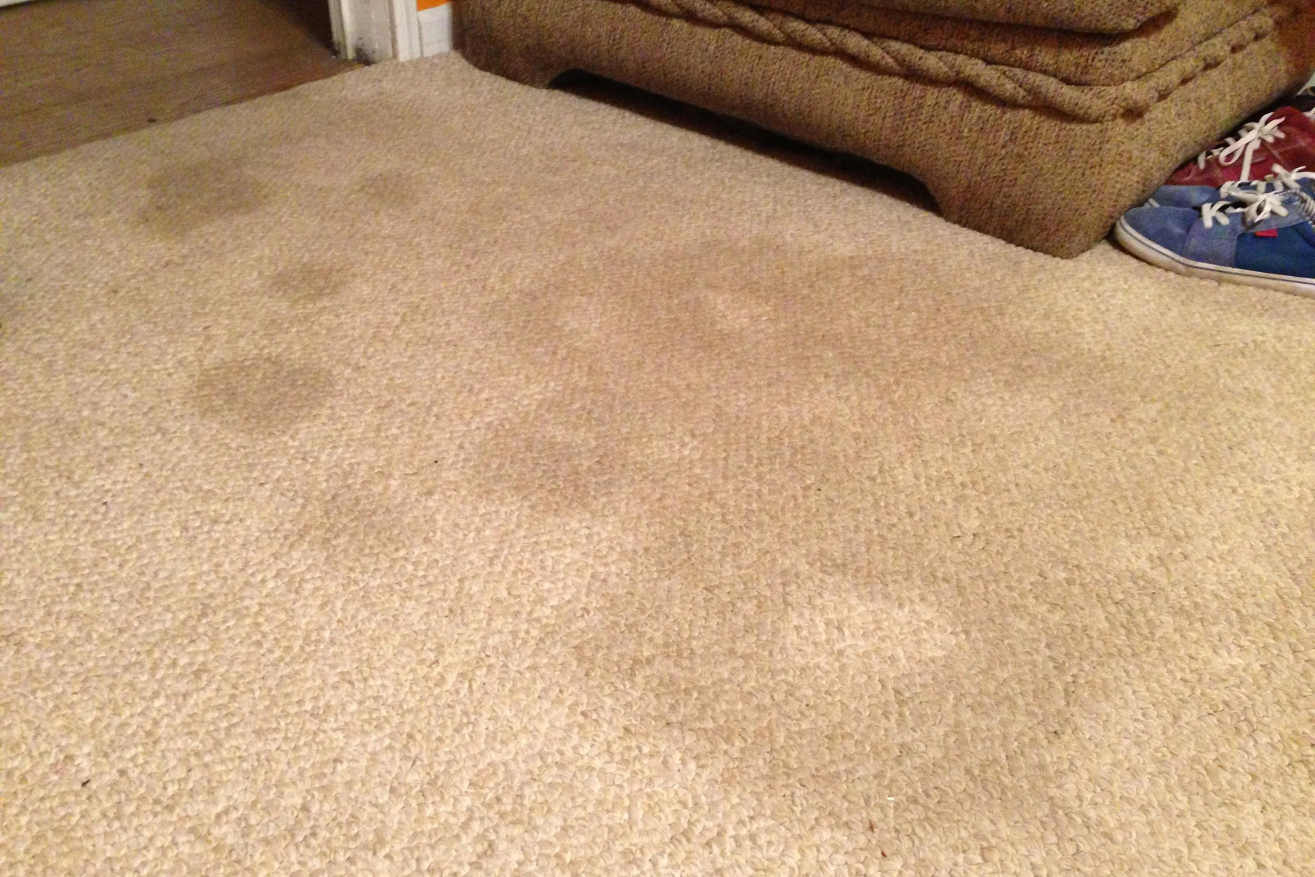 5 Stains You Didn’t Know You Could Get Out of Your Carpet...